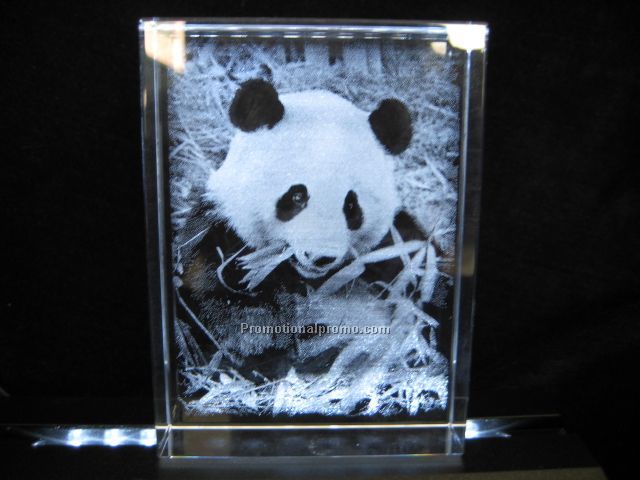 3D Laser Crystal Gift