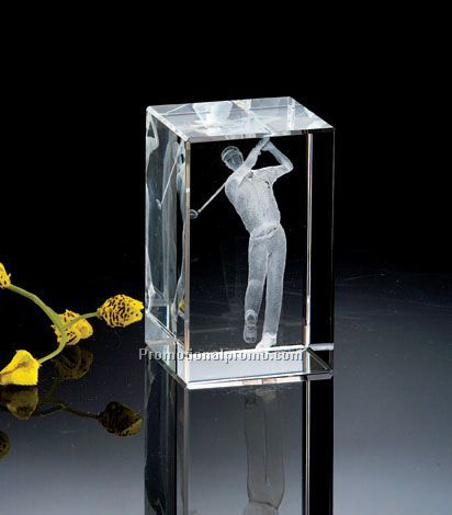 3D Crystal Paperweight