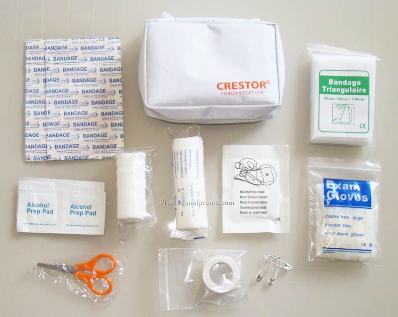 Mini First Aid Kit