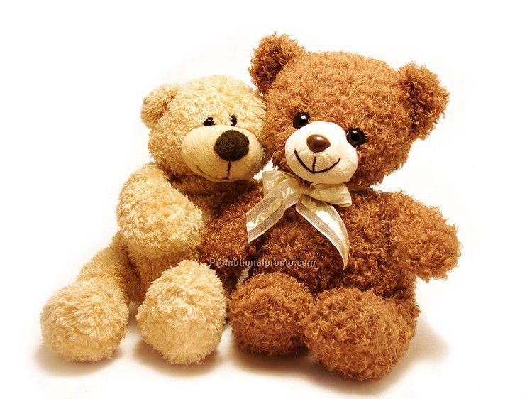 Customized Plush Toy Bear