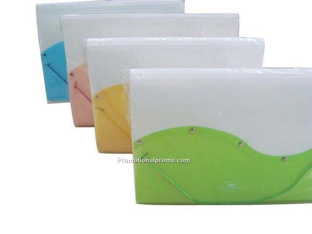 Stylish Frosted Pouch File