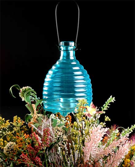 color sprayed glass bug catcher
  
   
     
    