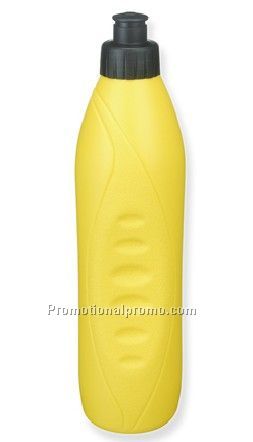 Plastic Bottle/600ML