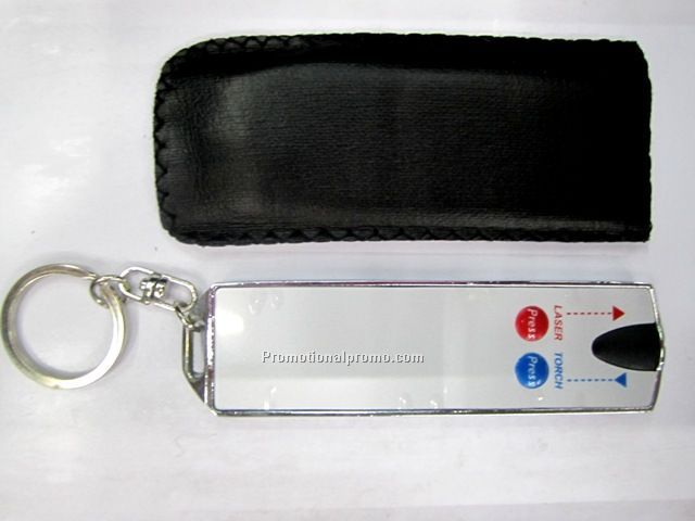 Laser light and LED flashlight