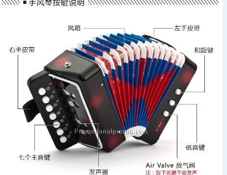 Children musical instruments accordion music early Aids
