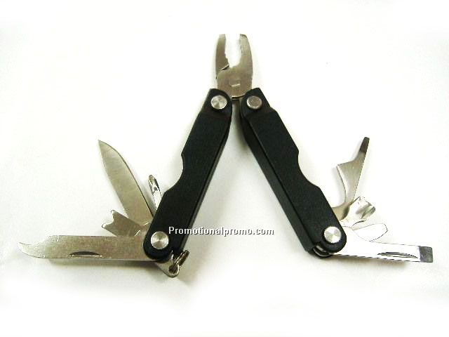 Multifunctional tool