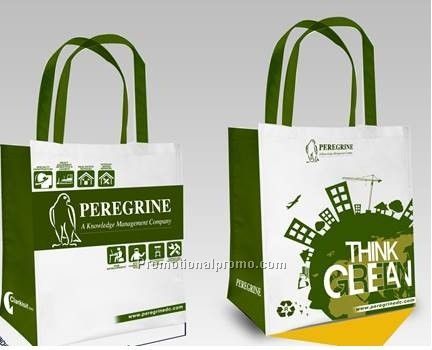 Laminated Non woven bag