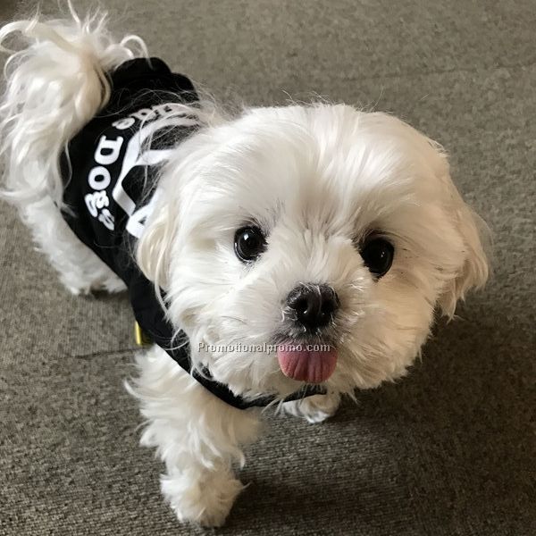 Promotional dog clothes