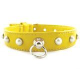 Pet Products - Pet Collars/Lea