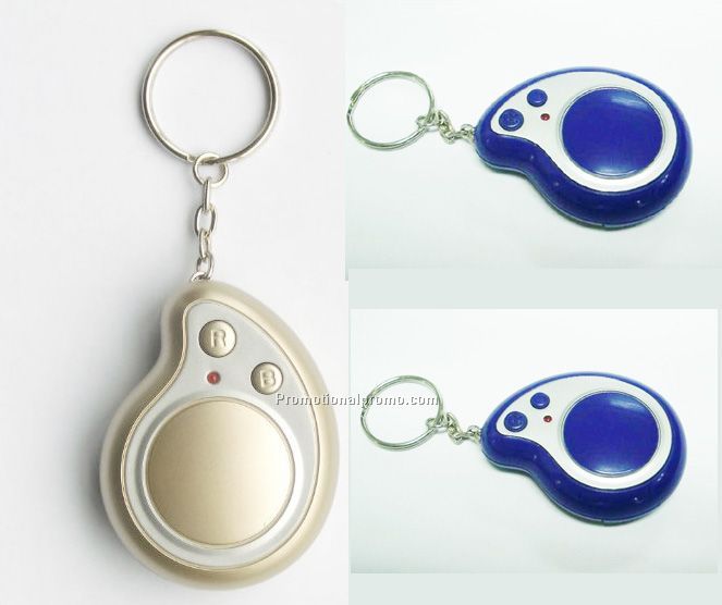 SIM Card Key chain
