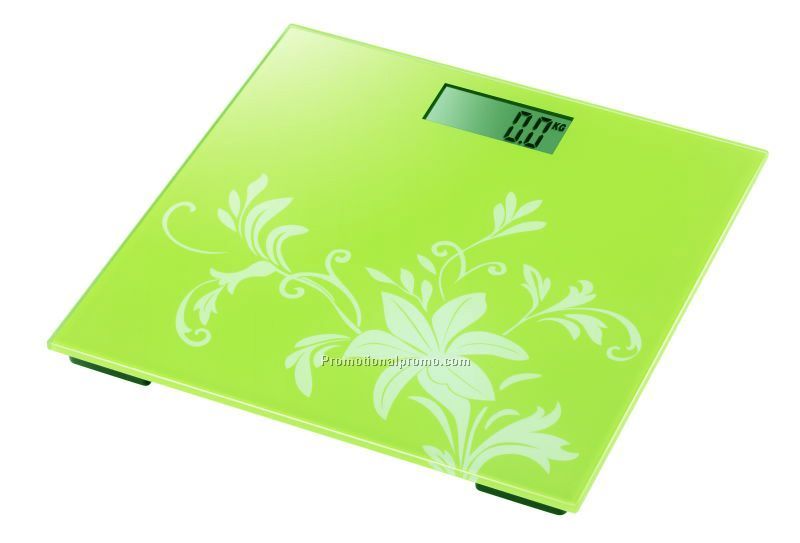 Electronic Personal Scale