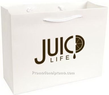 High Gloss Paper Bags