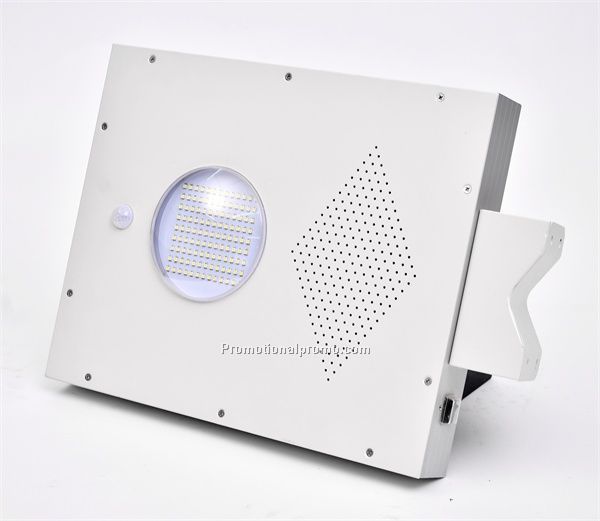 Integrated Solar Garden/Street lamp