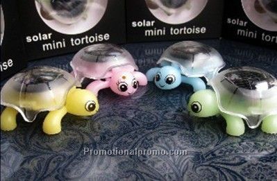 Solar tortoise/testudo
