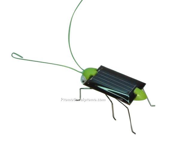New Solar Insect toy