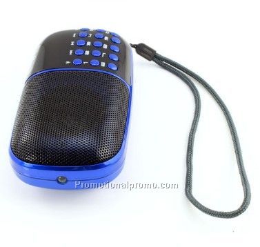 New Style Portable Radio for the aged, card plug-in speaker
