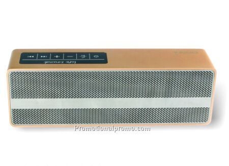 Multifunctional stereo radio speaker