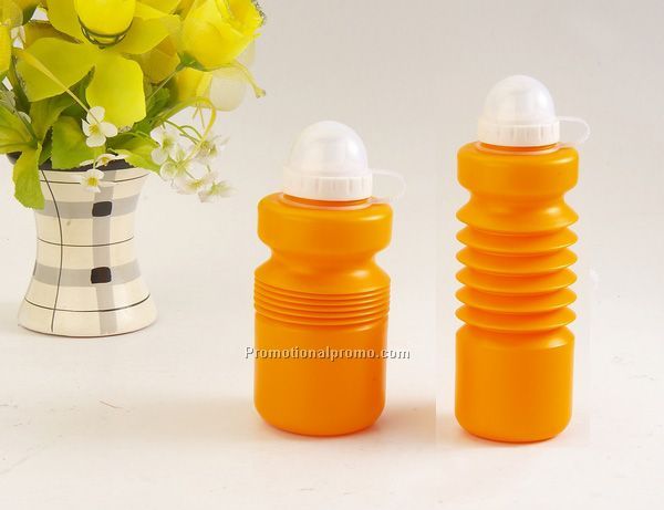 Collapsible water bottle