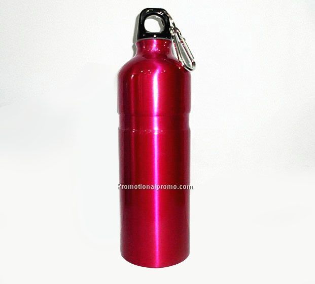 Aluminum sport bottle with carabiner