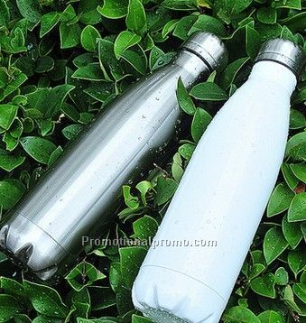 Double Stainless steel bottle