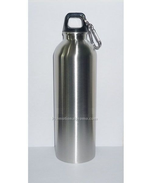 Stainless steel bottle