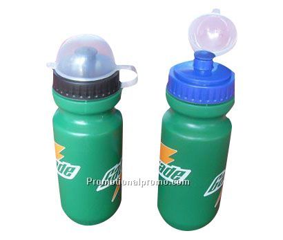 Plastic water bottle