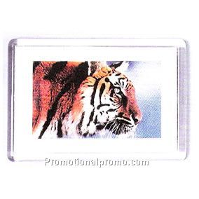 Standard Fridge Magnet