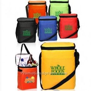 Poly 210D Budget 12 Pack Coolers