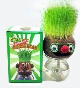 Growing grass head