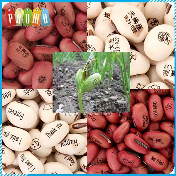 Magic Bean Bonsai Green Office Home Decoration