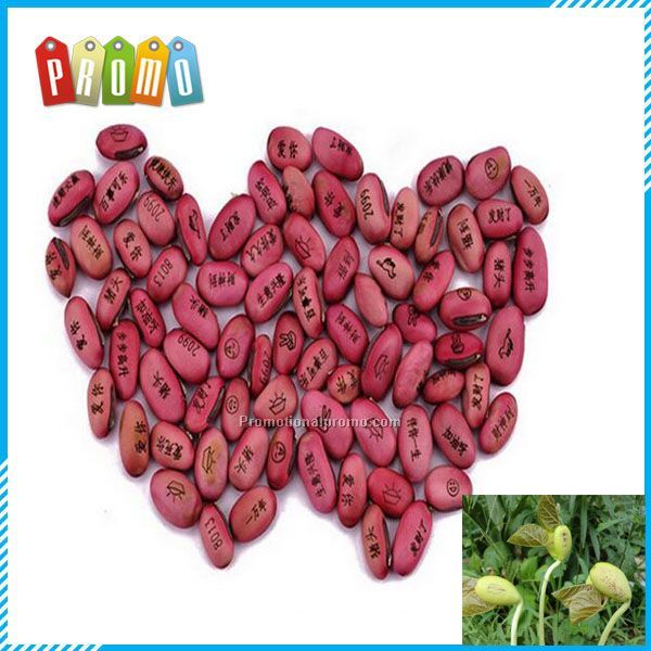 Magic Bean Bonsai Green Office Home Decoration and craft gift