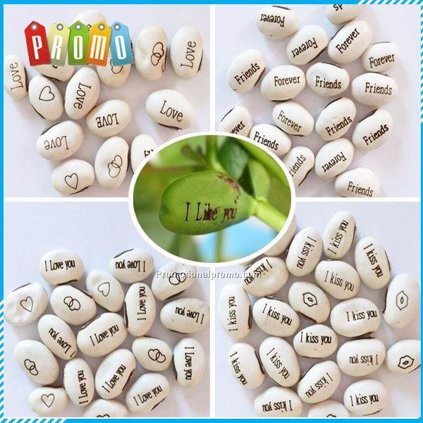 DIY Magic Bean with wishes for Bonsai Green Office Home Decoration