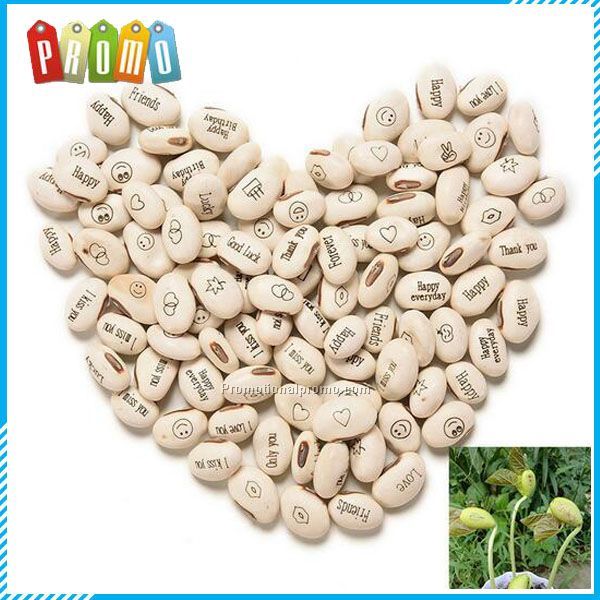 White Magic Bean with wishes for gift