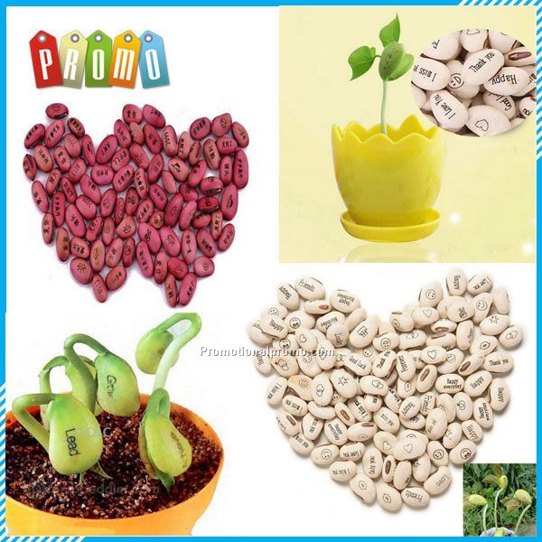 DIY wishes on Magic Bean for craft gift