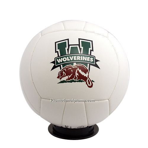 Full Size Autograph Volleyball