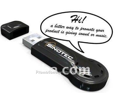 USB disk with voice