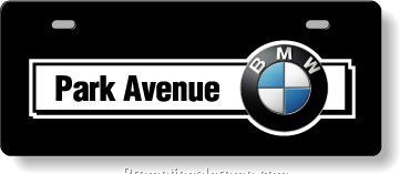 .050 Clear Polytrans Licence Plates / with 2 attachment slots