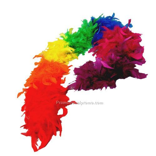 6' Rainbow Boa - 60 GR