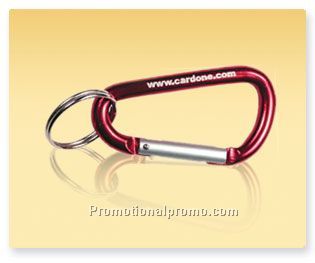 LASER ENGRAVED CARABINERS - MINI