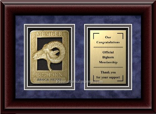 Medallion Framing - 8 x 10