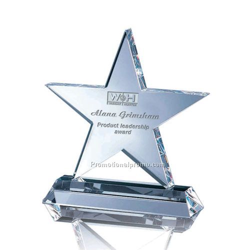 Motivation Star Award 6 5/8"H