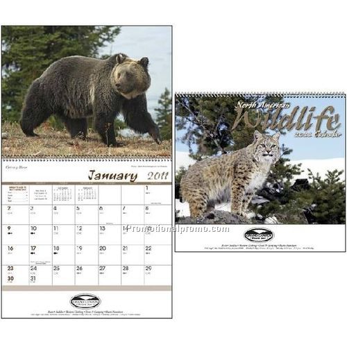 North American Wildlife