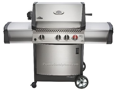 Prestige II Series - Natural Gas - PT450RBIN