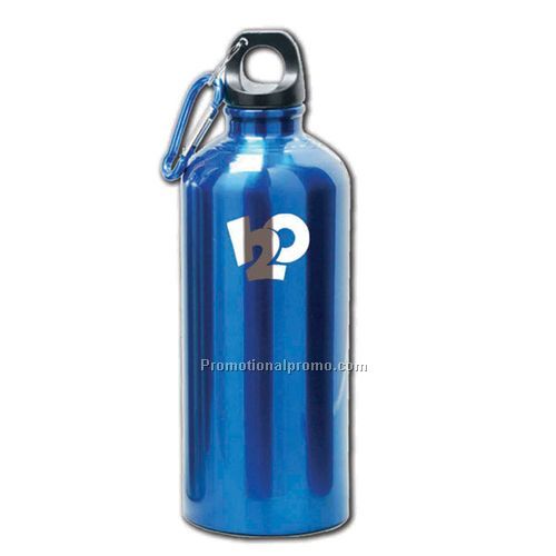 Stainless Steel Bottles