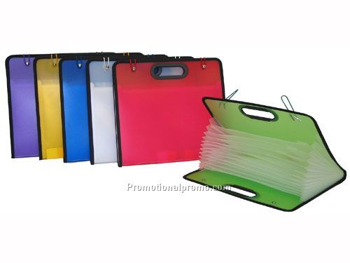 Stylish Frosted Expanding Files, 13 Pockets with Tabs