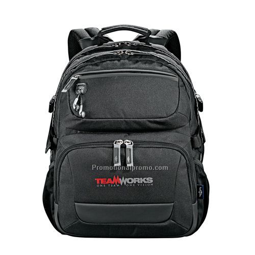 Dockers Professional Compu-Backpack