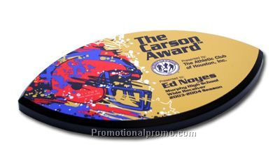 Full Colour "All-in-One" Award Plaque