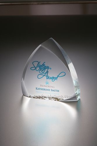 Lucite Embedment Award