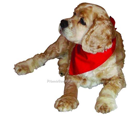 Pet Bandanas
