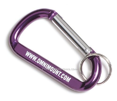 Standard Carabiner Key Holder
